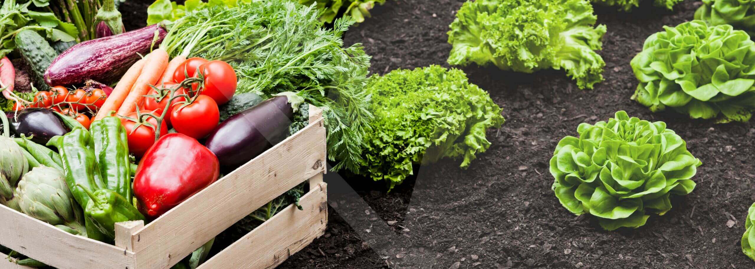 Agricultura