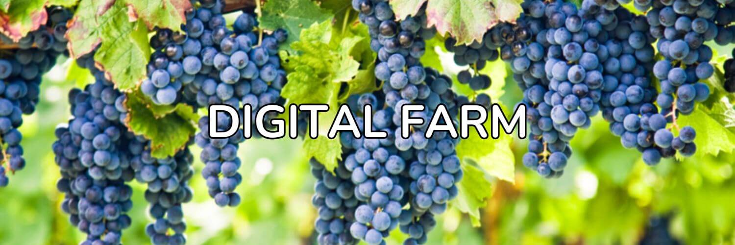 Utilize para  ver mais