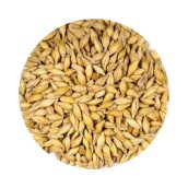 Cevada  25 Kg