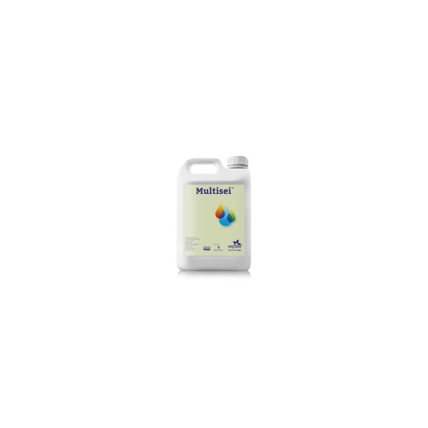 Multisei NT 20 Lt