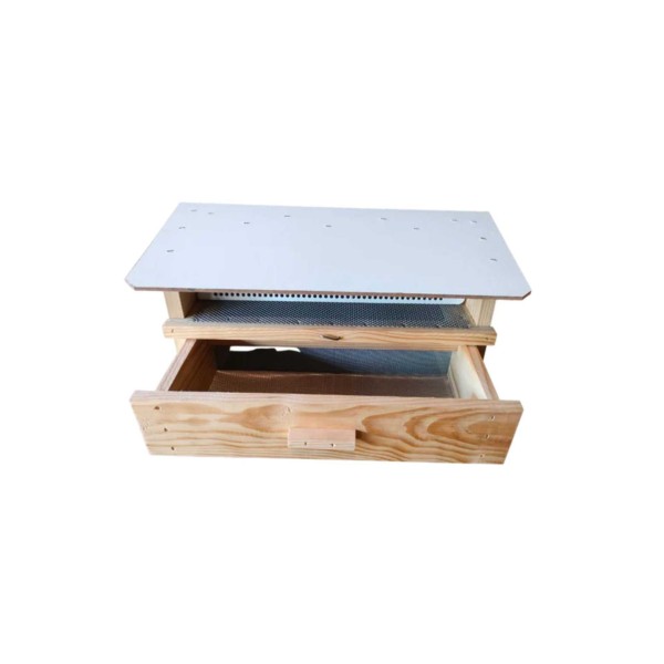 Capta P�len Madeira