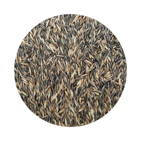 Aveia Preta 25 kg