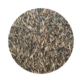 Aveia Preta 25 kg