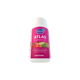 Atlas