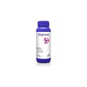 Septum 1 Lt