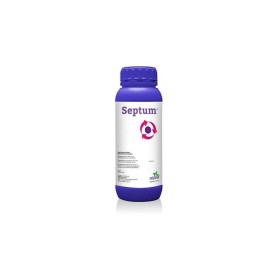 Septum 1 Lt