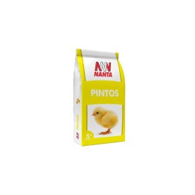 Rao Pintos 104 Migalha