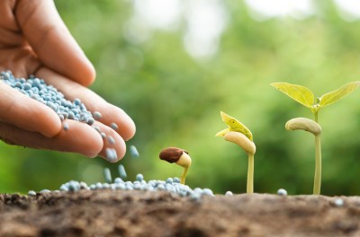 Agricultura