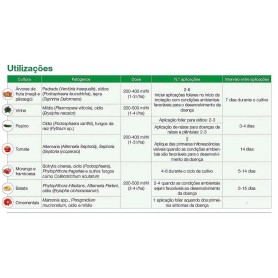 Septum 1 Lt Septum 1 Lt