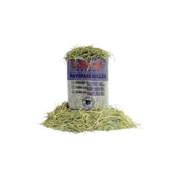 Feno Azevm Ingls 80 Lt Select Hay