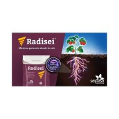 Radisei TM