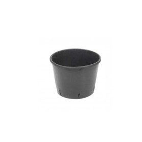 Vaso Estufa