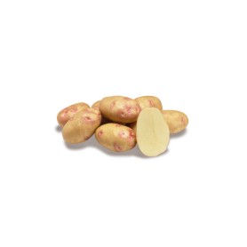 Batata picasso  35*55  10kg