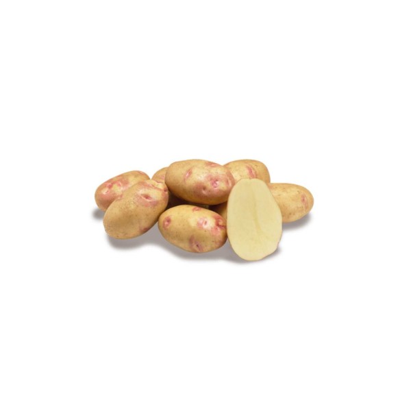 Batata picasso  35*55  10kg