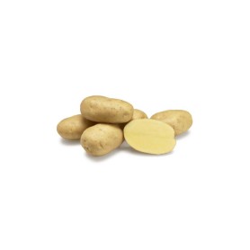 Batata Agria 35*55    25 Kg