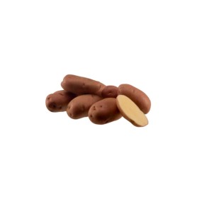 Batata Desire Dinamarca 35*55   25 Kg