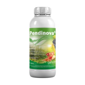 Pendinova 1 Lt