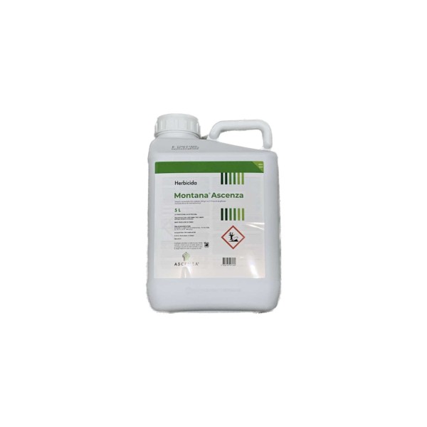 Montana 5 Ascenza 5 Lt