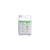 Montana 5 Ascenza 5 Lt