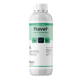 Ravel 1 lt