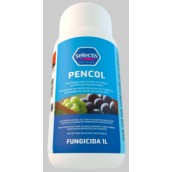 Unica