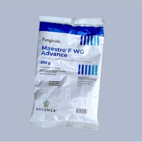 Maestro F Wg 300 Gr Maestro F Wg 300 Gr