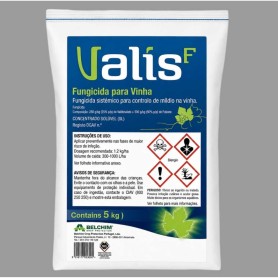 Valis F Valis F