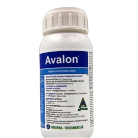 Avalon  250  Ml