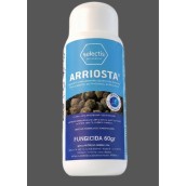 Arriosta 60 Gr