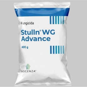 Stulln Wg  Advance 400 Gr