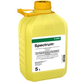 Spectrum 5 lt Spectrum 5 lt