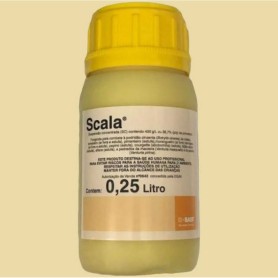 Scala