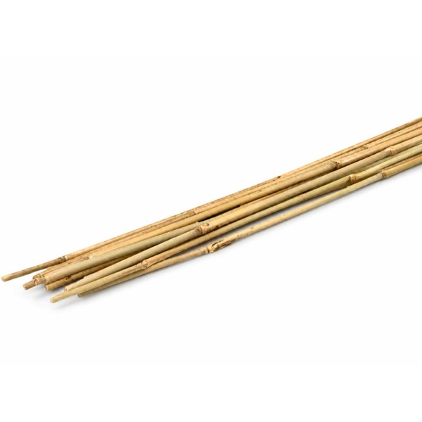 Tutor Para Plantas em Bambu