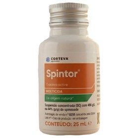 Spintor Spintor