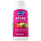 Atlas