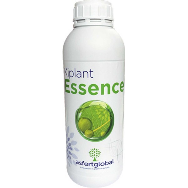 Kiplant Essence  1 Lt