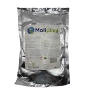 Moliplant  1 Kg