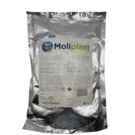 Moliplant  1 Kg