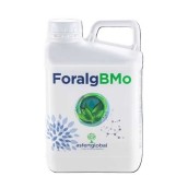Foralg BMo