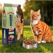 Ra��o Essencial Cat Mixi  15 Kg